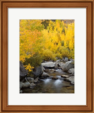 Framed California, Eastern Sierra Bishop Creek During Autumn Print