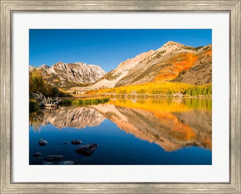 Framed California, Eastern Sierra, Fall Color Reflected In North Lake Print