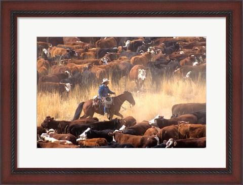 Framed Cowboy Cattle Drive Print