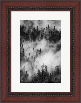 Framed Swirling Forest Mist, Yosemite NP (BW) Print