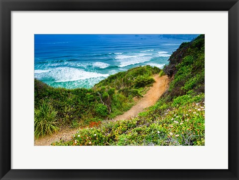 Framed Dirt Trail To Sand Dollar Beach Print