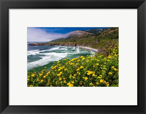 Framed Wildflowers Above Sand Dollar Beach Print