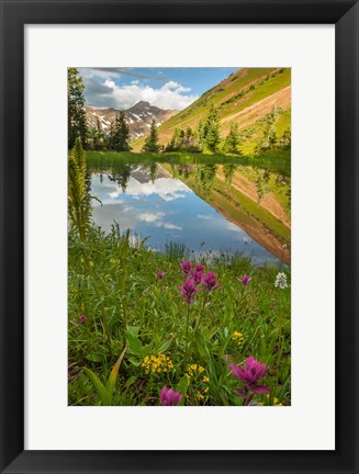 Framed Paradise Divide Pond Reflection Print