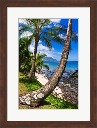 Framed Hideaways Beach, Island Of Kauai, Hawaii Print