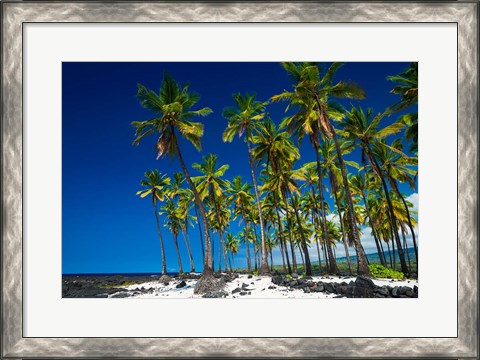 Framed Coconut Palms At Pu&#39;uhonua O Honaunau National Historic Park, Hawaii Print