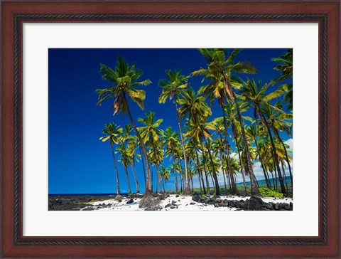 Framed Coconut Palms At Pu&#39;uhonua O Honaunau National Historic Park, Hawaii Print