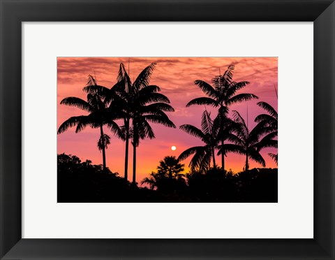 Framed Sunset Through Silhouetted Palm Trees, Kona Coast, Hawaii Print