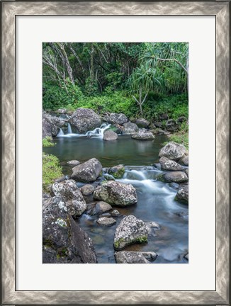 Framed Limahuli Garden And Preserve, Kauai, Hawaii Print