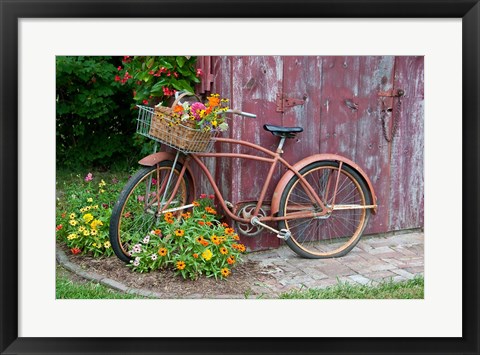 Framed Old Bicycle With Flower Basket, Marion County, Illinois Print