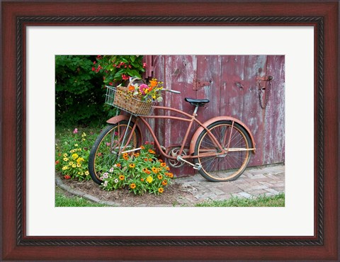 Framed Old Bicycle With Flower Basket, Marion County, Illinois Print