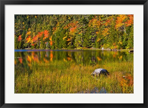 Framed Autumn Reflections In Bubble Pond, Acadia National Park, Maine Print