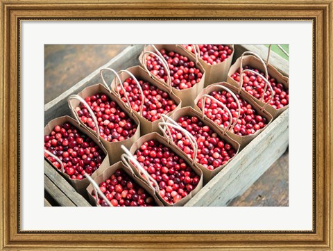 Framed Bagged Cranberries Print
