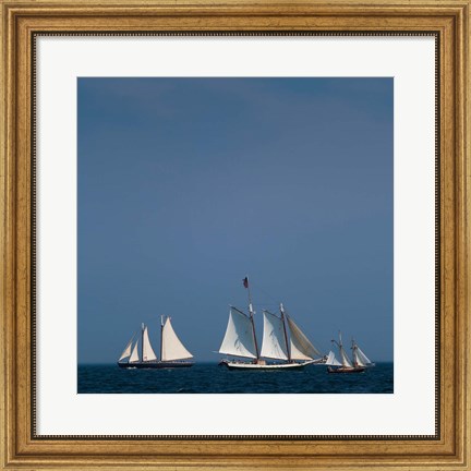 Framed Three Schooners Sailing In Cape Ann Print