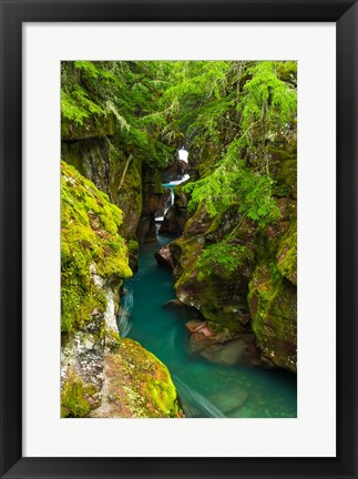 Framed Avalanche Creek, Glacier National Park, Montana Print