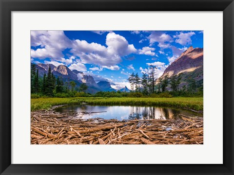 Framed Driftwood And Pond, Saint Mary Lake, Glacier National Park, Montana Print