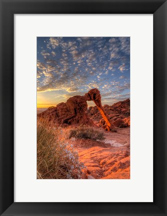 Framed Elephant Rock, Valley Of Fire State Park, Nevada Print