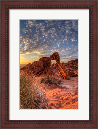 Framed Elephant Rock, Valley Of Fire State Park, Nevada Print