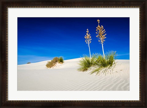 Framed Soaptree Yucca And Dunes, White Sands National Monument, New Mexico Print