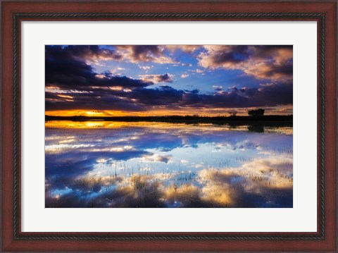 Framed Wetlands At Sunrise, Bosque Del Apache National Wildlife Refuge, New Mexico Print
