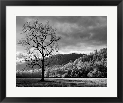 Framed Storm Clearing At Dawn In Cataloochee Valley, North Carolina (BW) Print