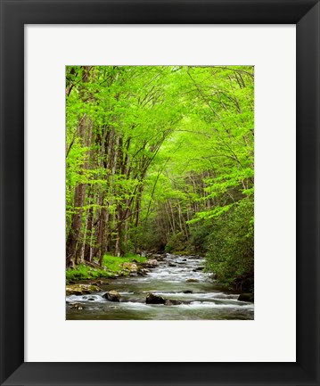 Framed Straight Fork River, North Carolina Print