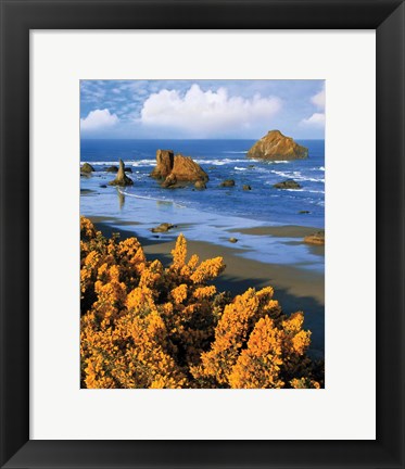 Framed Rocky Coastline Of Oregon Print