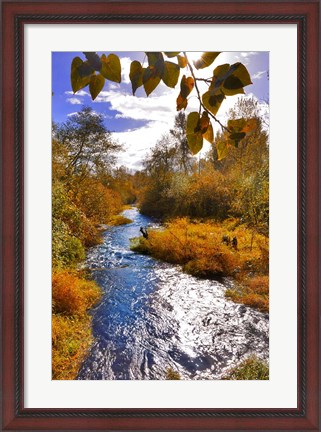 Framed Scenic View Of Dieckman Creek, Oregon Print