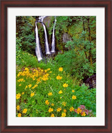 Framed Triple Falls, Oregon Print