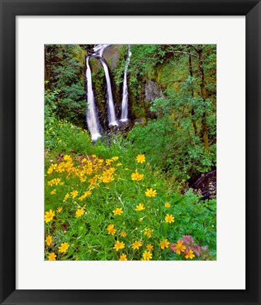 Framed Triple Falls, Oregon Print