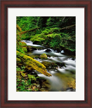 Framed Still Creek, Oregon Print