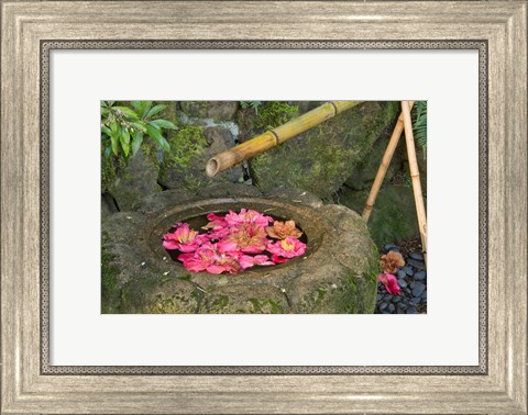 Framed Water Basin Flowers, Portland Japanese Garden, Oregon Print