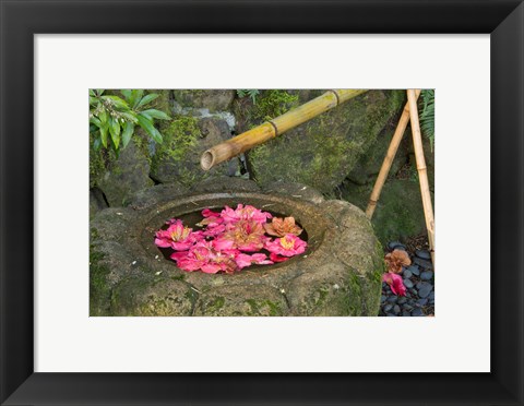 Framed Water Basin Flowers, Portland Japanese Garden, Oregon Print