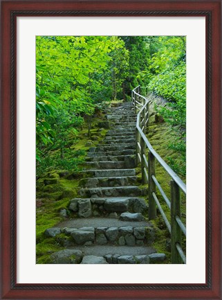 Framed Summer Staris In The Portland Japanese Garden, Oregon Print