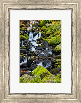 Framed Starvation Creek Falls In Autumn, Columbia Gorge Oregon Print