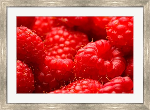 Framed Close-Up Of Fresh Raspberries Print
