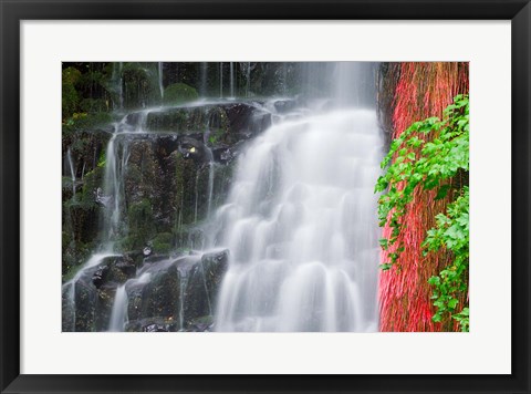 Framed Coopey Falls, Oregon Print