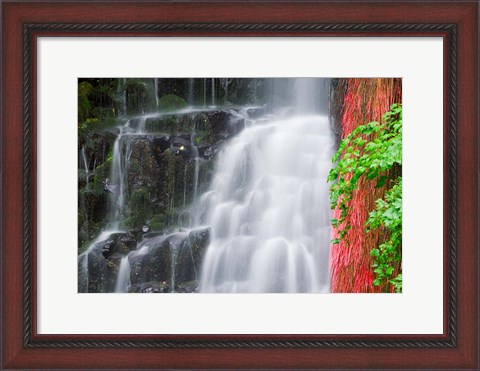 Framed Coopey Falls, Oregon Print