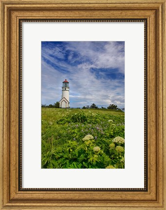 Framed Cape Blanco Lighthouse, Oregon Print
