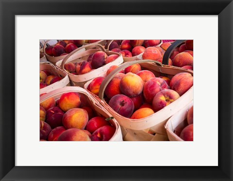 Framed Peaches In Baskets, South Carolina Print