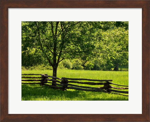 Framed Old Wooden Fence In Cades Cove Print