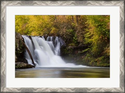 Framed Abrams Falls Landscape, Great Smoky Mountains National Park Print