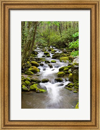 Framed Roaring Fork In Spring, Tennessee Print