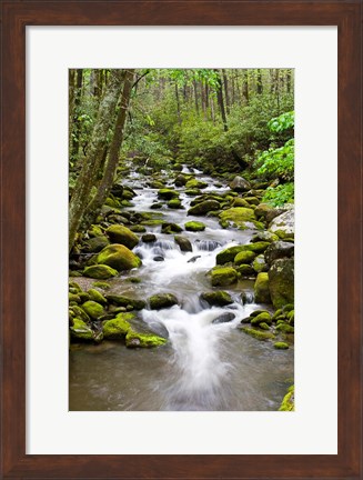 Framed Roaring Fork In Spring, Tennessee Print
