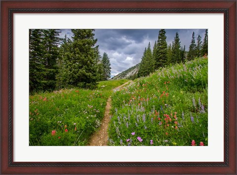 Framed Wildflowers In The Albion Basin, Utah Print