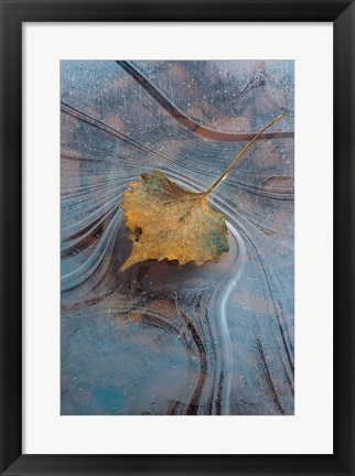 Framed Leaf With Frozen Ice Pattern Print