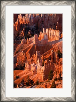 Framed Sunrise Point Hoodoos In Bryce Canyon National Park, Utah Print