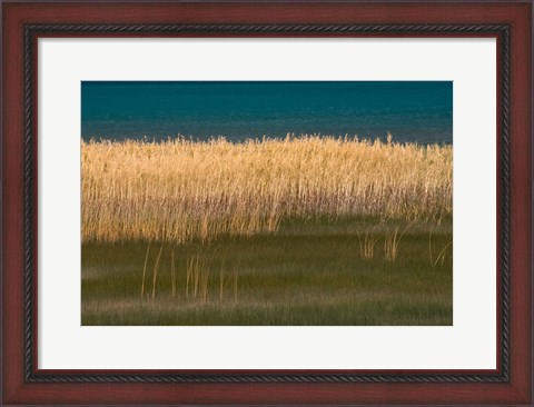 Framed Grasses Blowing In The Breeze Along The Shore Of Bear Lake, Utah Print
