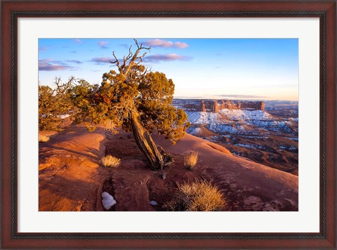Framed Overlook Vista At Canyonlands National Park, Utah Print