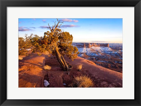 Framed Overlook Vista At Canyonlands National Park, Utah Print