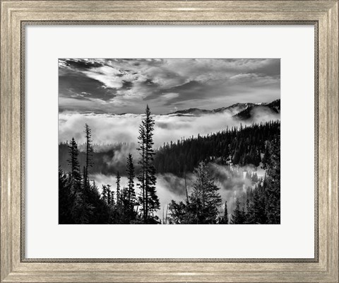 Framed Olympic National Park, Washington (BW) Print